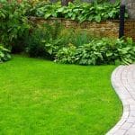 Asphalt contractor