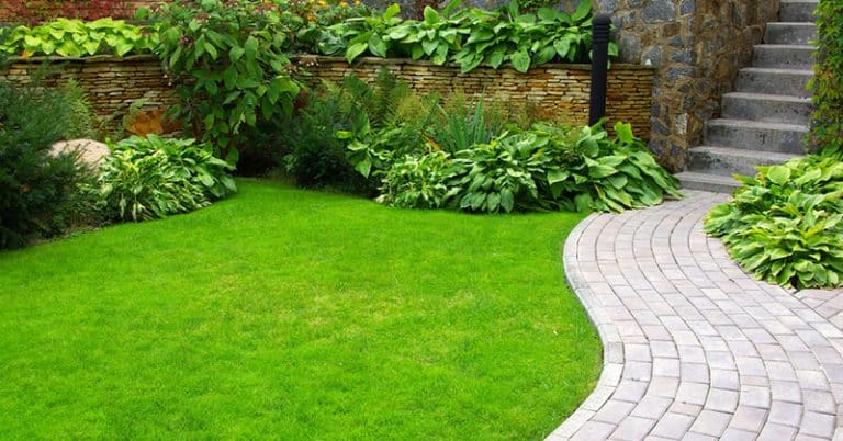 Asphalt contractor